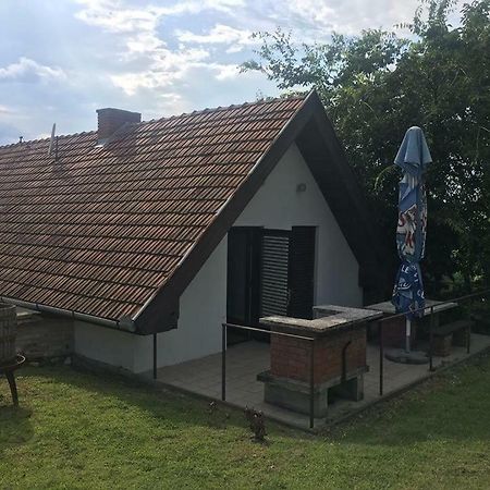 Ferienwohnung Bago Pince Hajos Exterior foto